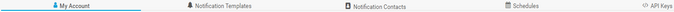 Account Settings Tabs Account Settings Tabs